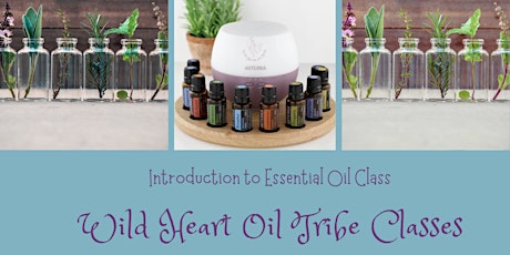 Introduction to Essential Oils primary image