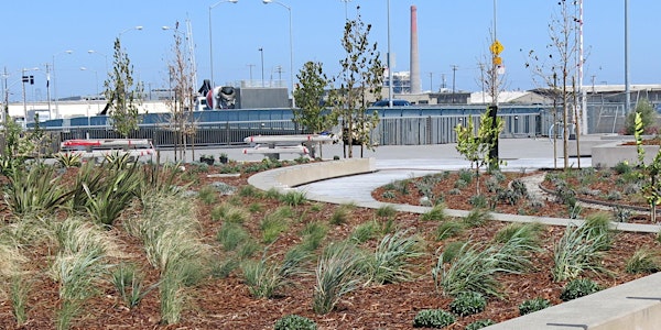 Bayview Gateway Opening