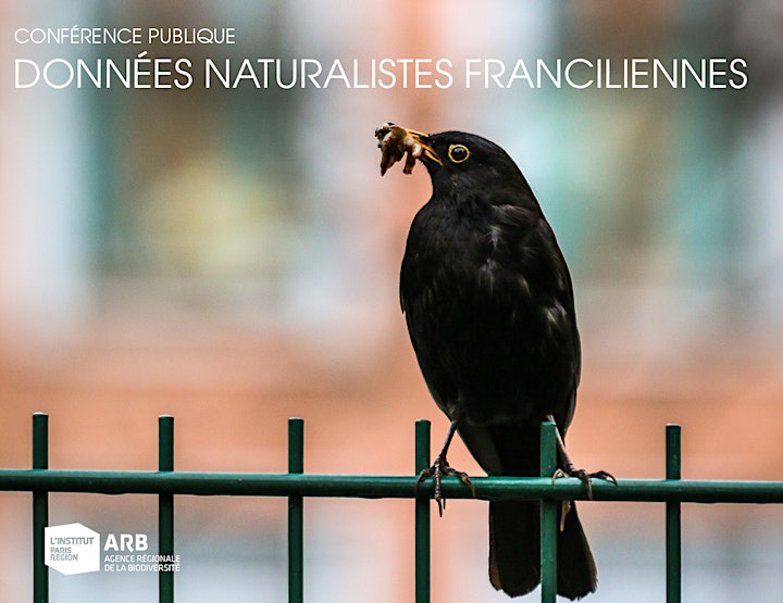
		Image pour Données naturalistes franciliennes : leur intérêt pour la biodiversité 
