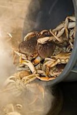 IDESST Annual Cracked Crab Dinner 2016 primary image