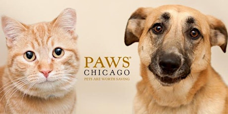 Bachelors for PAWS primary image