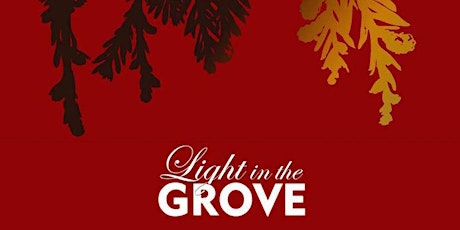 2015 Light in the Grove primary image