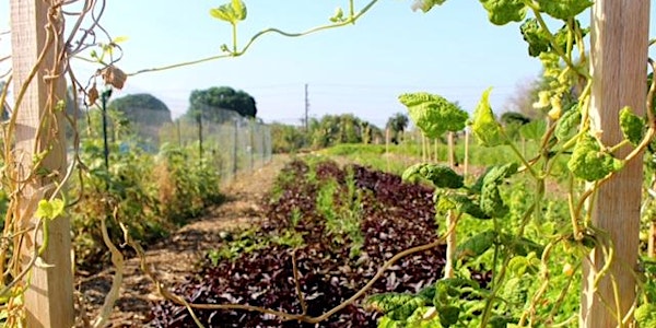 Garden Gala