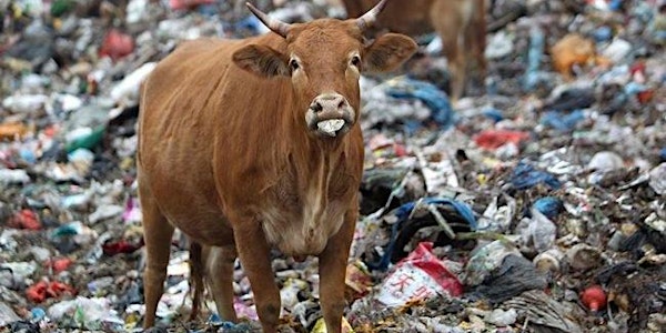 Inside Toronto's Organic Waste