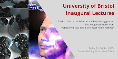 Inaugural Lecture: Professors Valeska Ting and Adam Perriman primary image