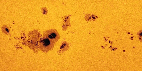 Sunspotting primary image