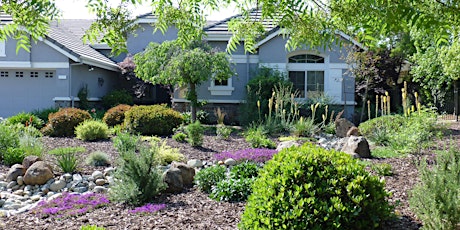 WaterSmart Gardens - Converting Thirsty Lawns to Beautiful Beds primary image