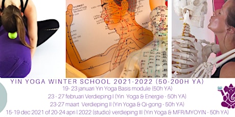 Yin Yoga opleiding ( Yin Yoga & Energie 50h YA) - Yin Yoga Winter School tickets