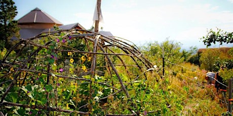 Permaculture: Garden Design with Nature in Mind primary image