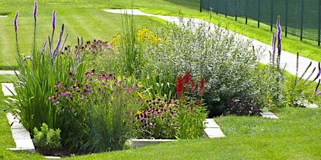 Resiliency - One Rain Garden at a Time primary image