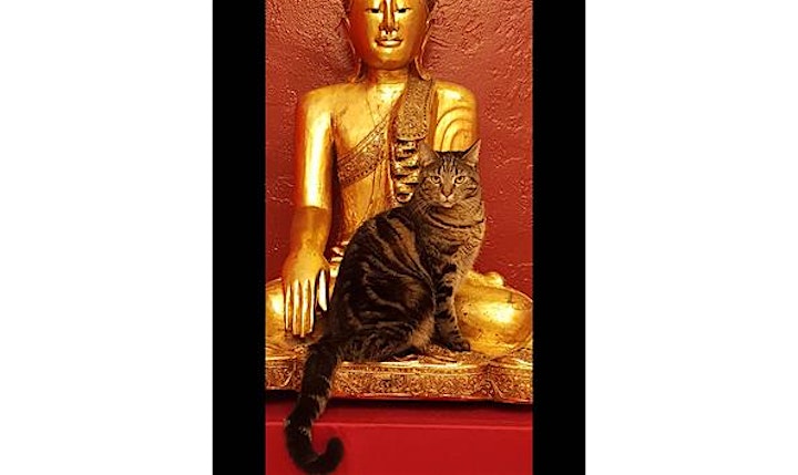
		Pet Blessing Day at Open Awareness Buddhist Center image
