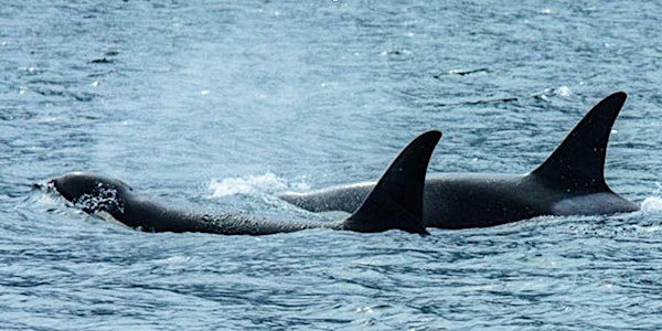 23rd ANNUAL BC MARINE MAMMAL SYMPOSIUM