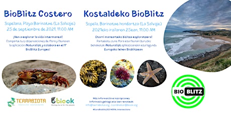 Imagen principal de BioBlitz Costero / Kostaldeko Bioblitz