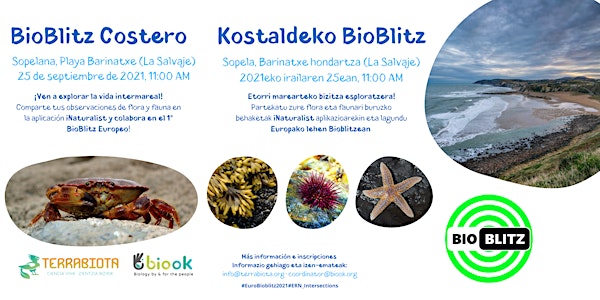 BioBlitz Costero / Kostaldeko Bioblitz