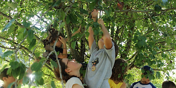 Blackwood Land Benefit Dinner