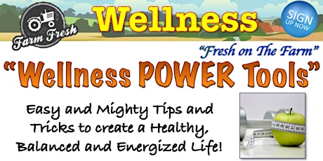 Wellness Power Tools - Easy Tips and Mighty Tricks to Create a Healthy, Balanced and Energized Life primary image