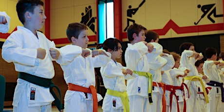 Dyspraxia Westminster Dyscoverers Club - Karate primary image