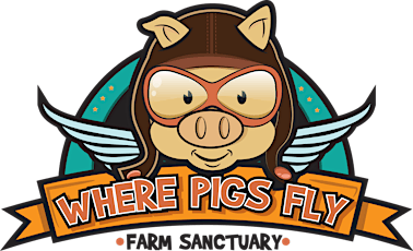 World Animal Day Celebration at Where Pigs Fly primary image