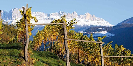 LONZO LITE: Les Caves De Pyrene presents 'High Altitude Wines' primary image