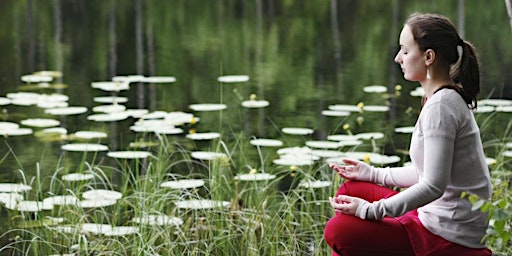Immagine principale di ONLINE : Let's Meditate: Stockholm - Sunday Meditation for Inner Peace. 