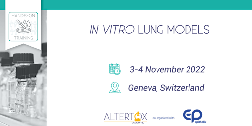 In vitro lung models