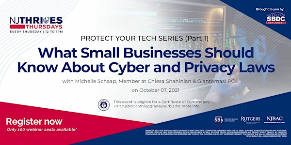 What Small Businesses Should Know About Cyber and Privacy Laws