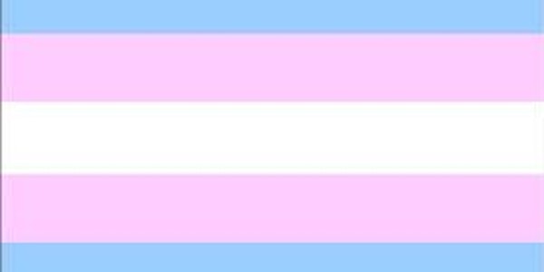 Sonoma County Rural Transgender Community Conference: TRANSLIFE
