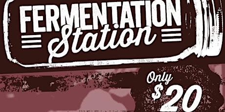 Fermentation Station Series #2: Fermented Vegetables primary image