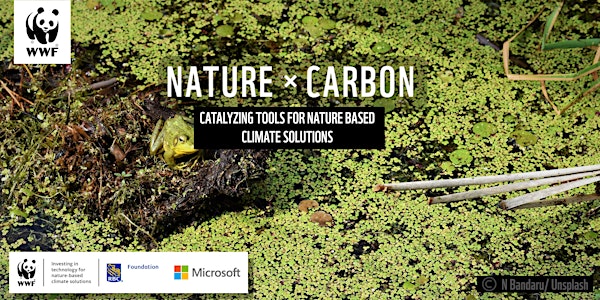 Nature x Carbon: catalyzing tools for nature-based climate solutions