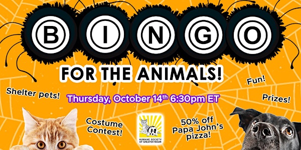 Virtual Bingo for the Animals - Spooky Edition