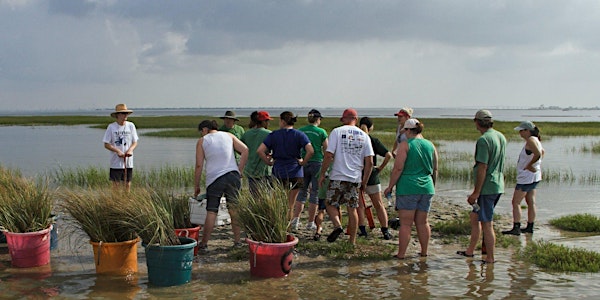 Living Shorelines: Sound Science, Innovative Approaches, Connected Community