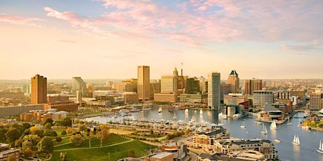 Baltimore Area Virtual Diversity Job Fair tickets