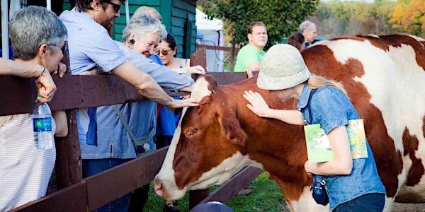 Shindig – A Festival of Vegan Living!