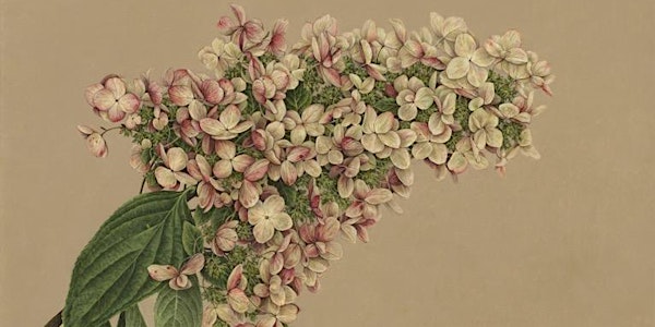 Botanical Painting in Oil: An Introduction to Materials and Methods