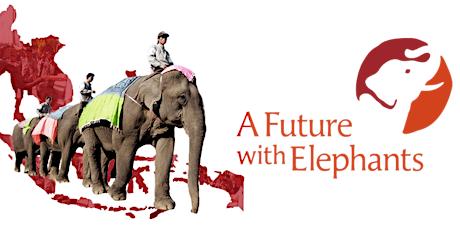 Let Elephants Be Elephants primary image