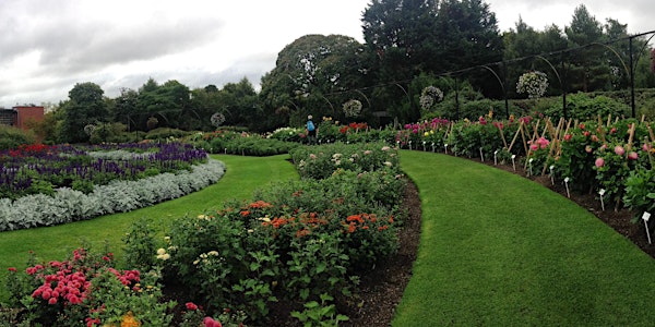 Drawing at Botanics - October