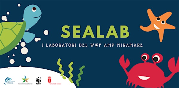 SeaLab WWF - La balenottera mangiona