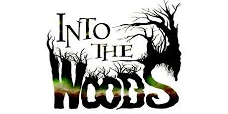 Into The Woods primary image