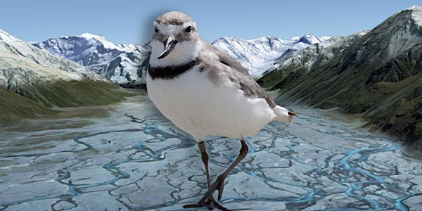 You can help save us! Endangered Birds on Braided Rivers Workshop.