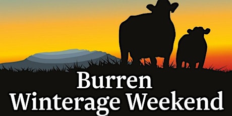 Burren Winterage Weekend primary image