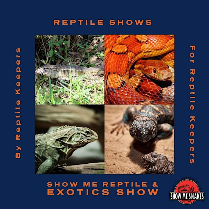 Paducah Reptile Expo Show Me Reptile & Exotics Show image