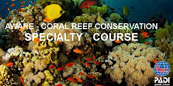 Project Aware Coral Reef Conservation PADI Specialty Course (Online)