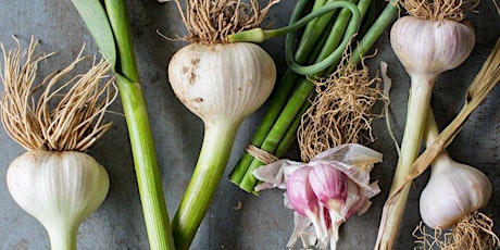 Imagem principal do evento How to grow garlic -FREE WORKSHOP