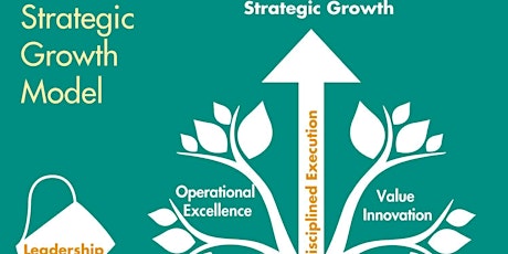 Three Vital Steps to Business Growth primary image