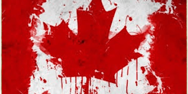 Human Trafficking: A Community Response in Brant, Haldimand, Norfolk & Six Nations