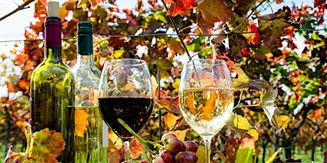 Fall Wine Mixer primary image