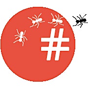 Immagine del profilo dell'organizzatore