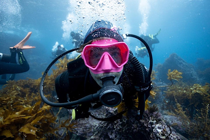 
		Learn to Dive. Get your PADI Open water Certification with Dive HQ image
