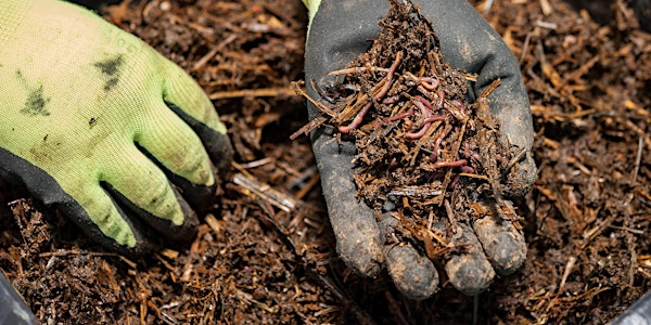 Composting Workshop: Beginners