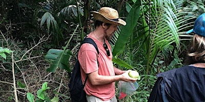 Urban Foraging in Honolulu's Jungles with Dr. Nat Bletter primary image
